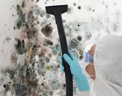 Why You Should Choose Our Mold Remediation Services in Chualar, CA